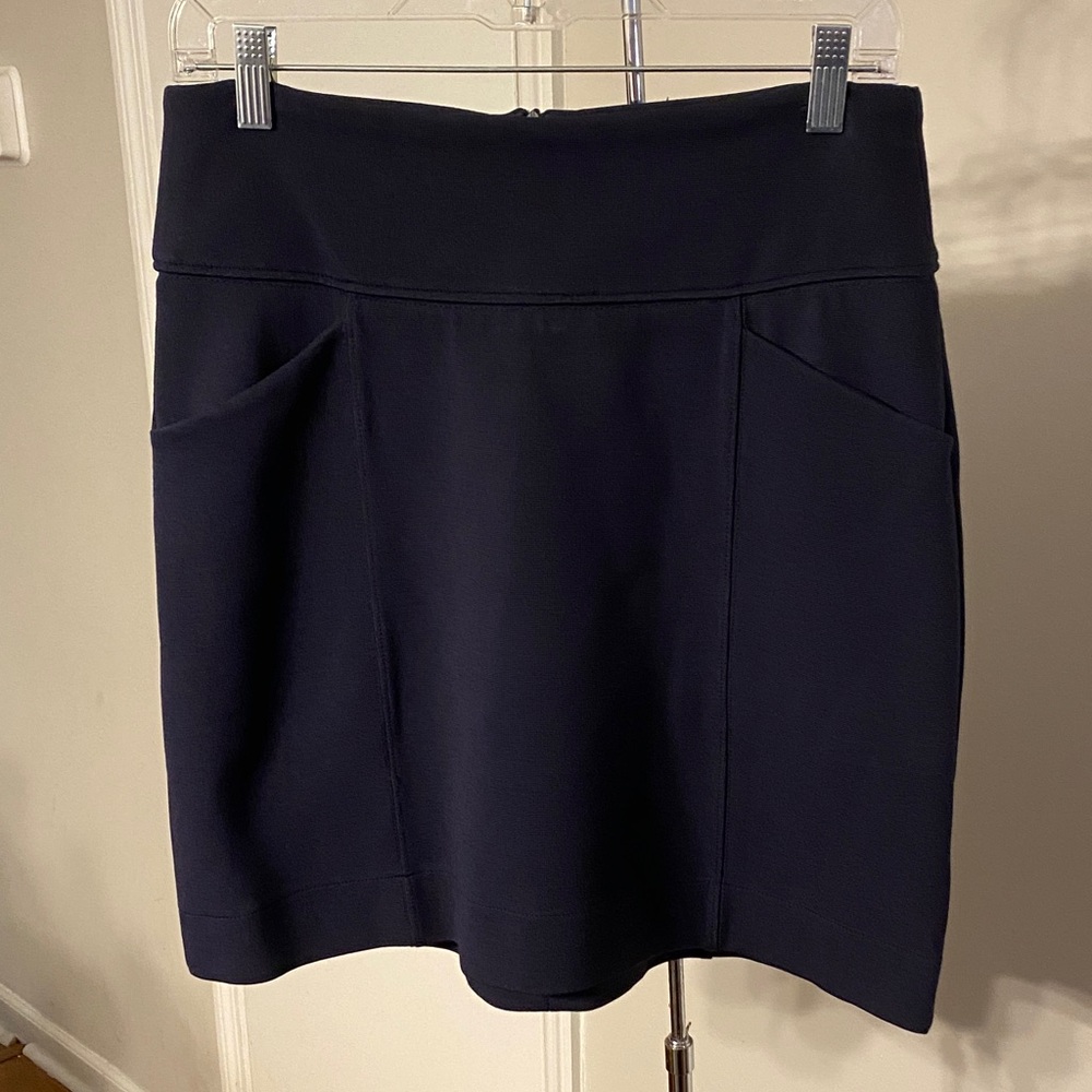 Anthropologie Mauve Skirt